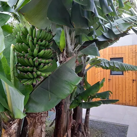 Populo's Place Ponta Delgada (Sao Miguel)