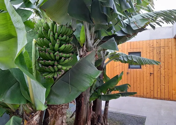 Populo's Place Ponta Delgada